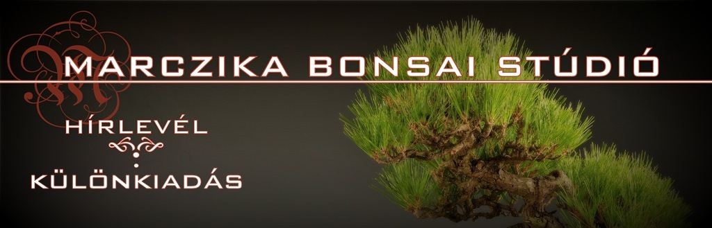 bonsai es bonsai kiegeszitok bonsai studio webaruhaz marczika kerteszet erd hungary
